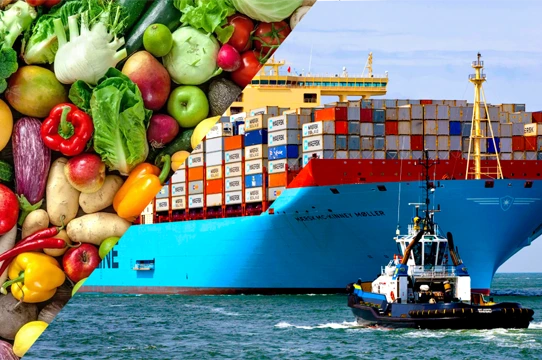 gnibo marine service